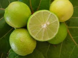 Fresh Sweet Lime (Mithey) 10kg
