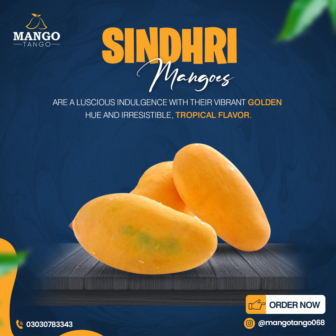Premium Export Quality Sindhri Mangoes (10Kg)