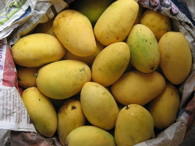 Multani Original Export Quality White Chounsa (10Kg)
