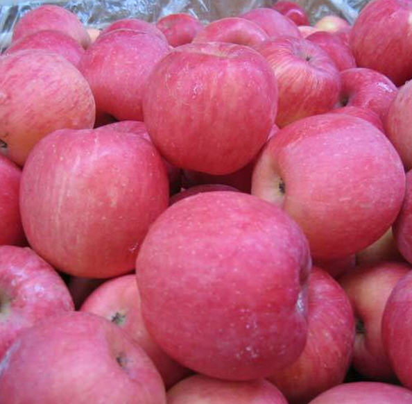 Fresh Apples (Gacha) 10Kg