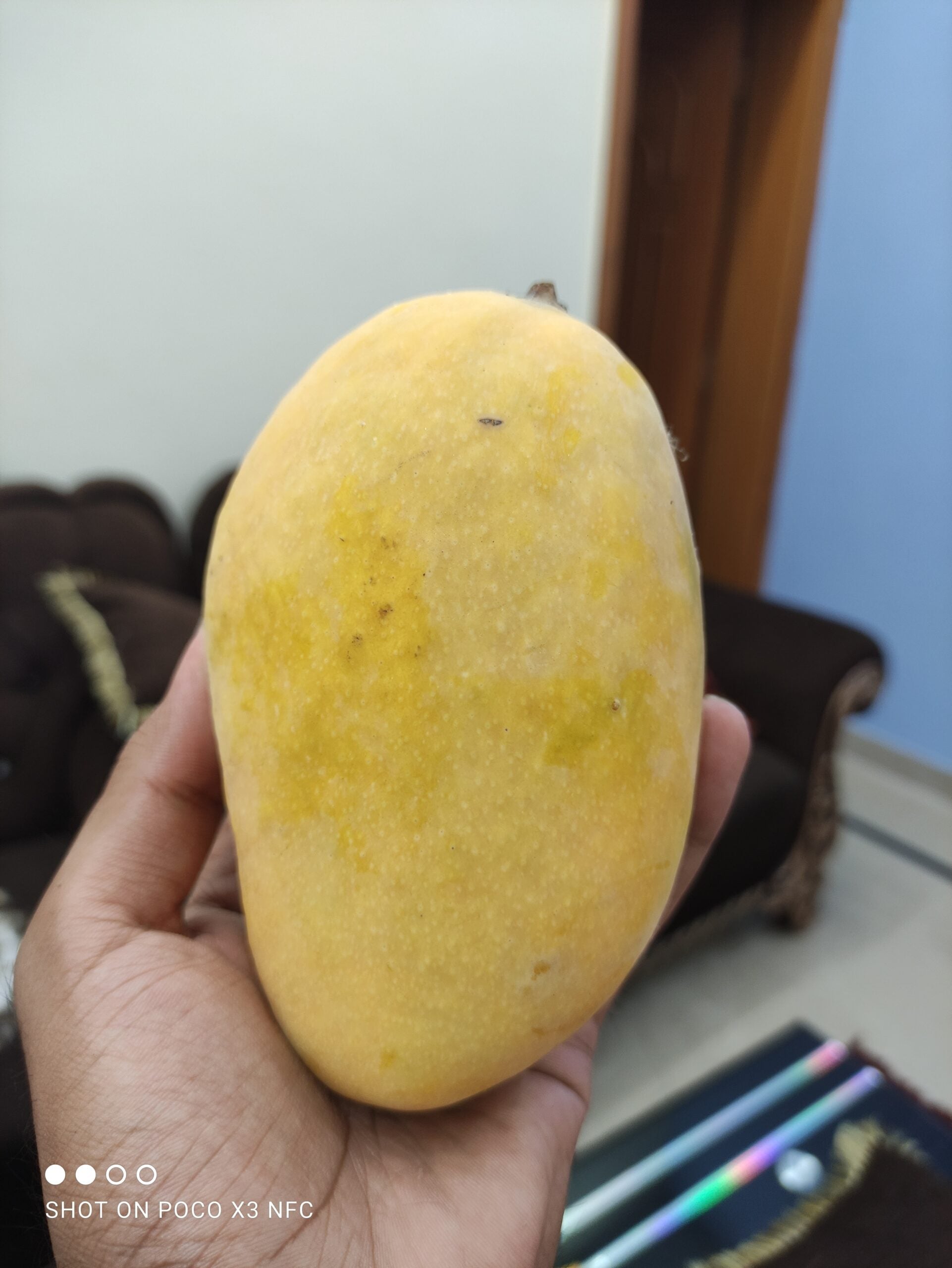 Multani Original Export Quality White Chounsa (10Kg)