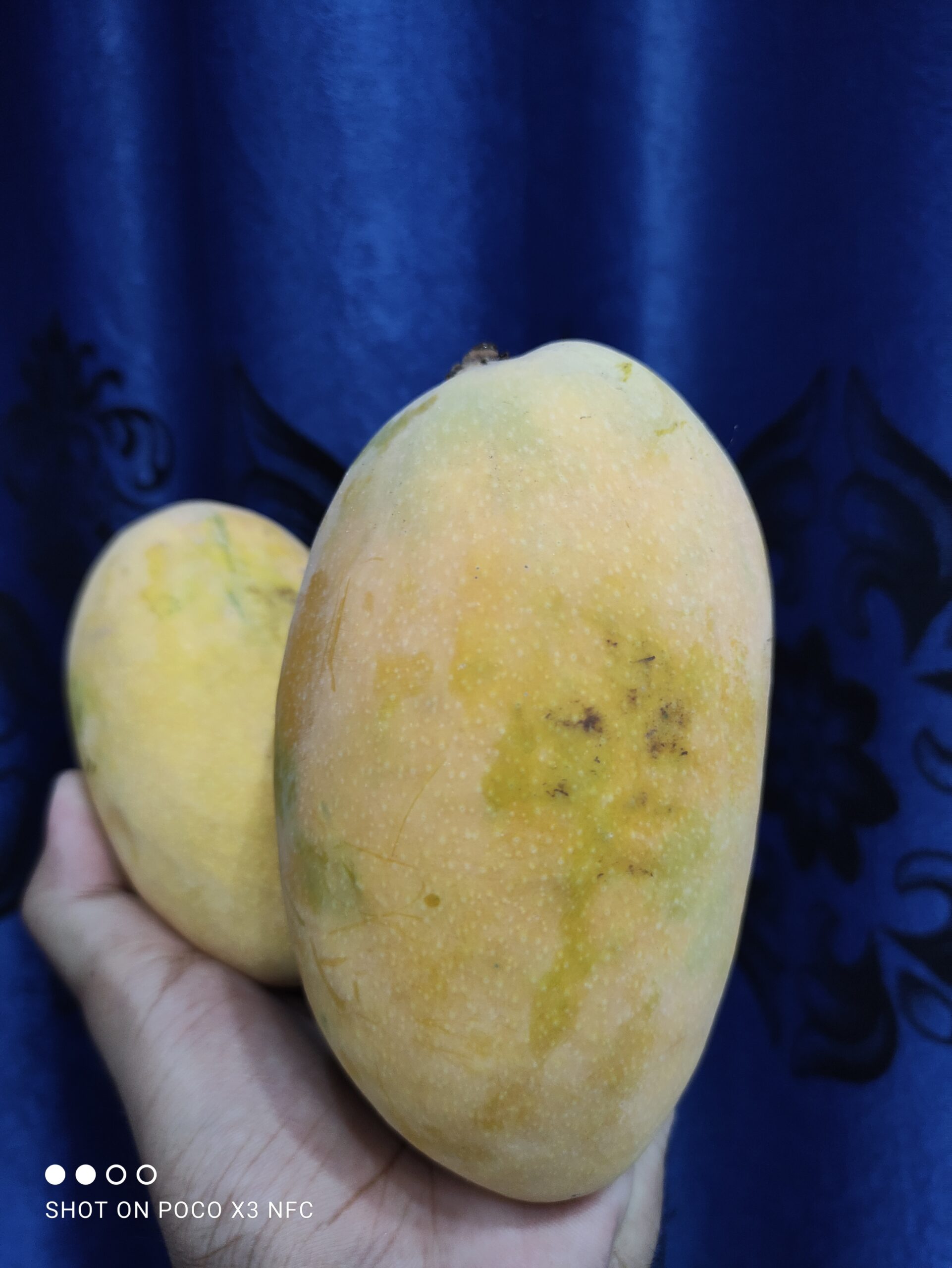Multani Original Export Quality White Chounsa (10Kg)