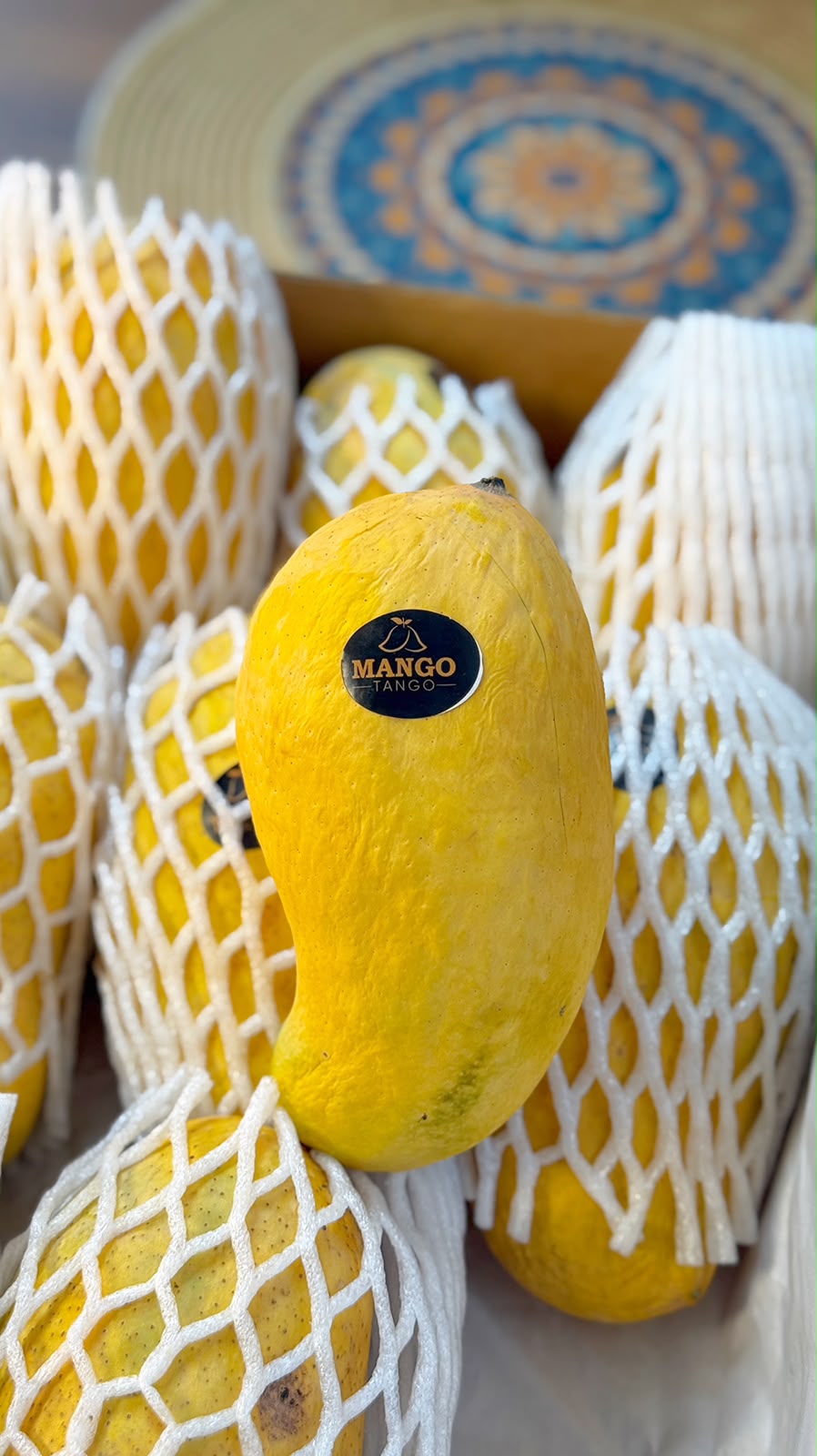 Premium Quality Sindhri Mangoes - Export Quality | Mango Tango