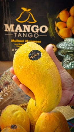 Premium Quality Sindhri Mangoes - Export Quality | Mango Tango