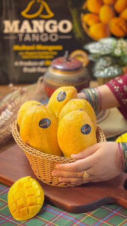 Premium Quality Sindhri Mangoes - Export Quality | Mango Tango