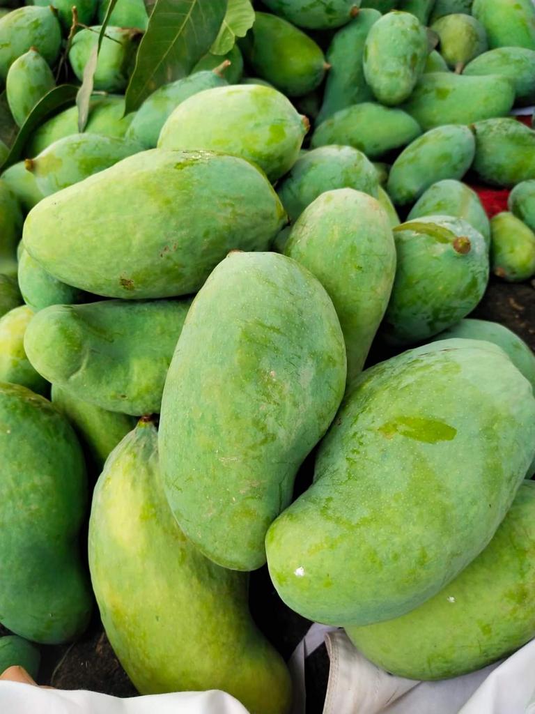 Premium Export Quality Sindhri Mangoes (10Kg)