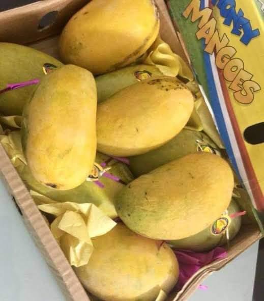 Multani Export Quality Royal Chounsa (10kg)