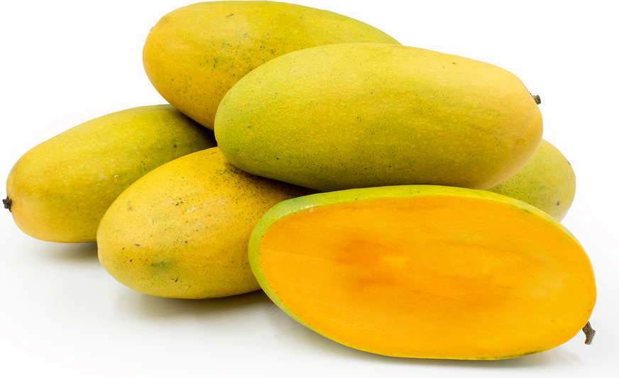 Premium Export Quality Dusheri Mangoes (10Kg)