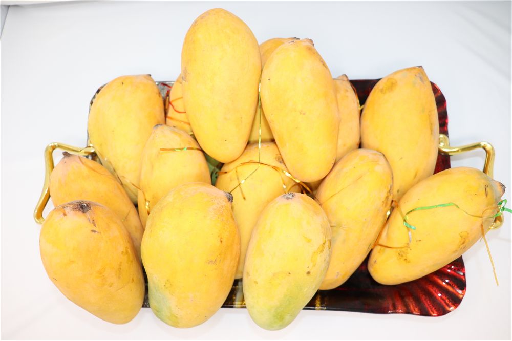 Multani Export Quality Royal Chounsa (10kg)